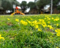 Resale - Villa - Los Altos