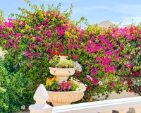 Resale - Villa - Punta Prima