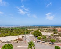 Resale - Villa - San Miguel - San Miguel De Salinas