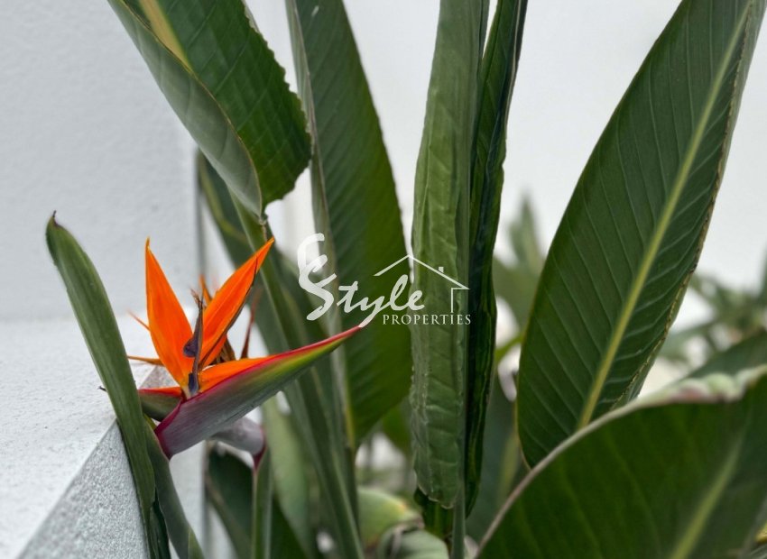 Resale - Villa - Torrevieja - Los Balcones