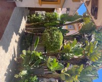 Resale - Villa - Villamartín - La Regia