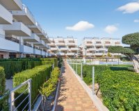 Reventa - Apartamento - Campoamor - Dehesa de Campoamor