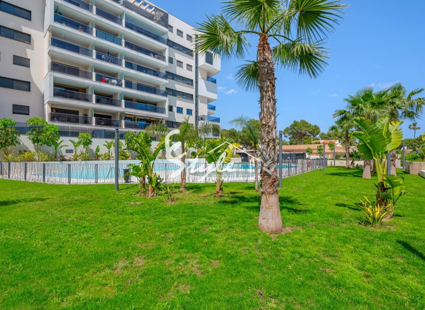 Reventa - Apartamento - Campoamor - Dehesa de Campoamor