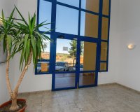 Reventa - Apartamento - Campoamor - Dehesa de Campoamor