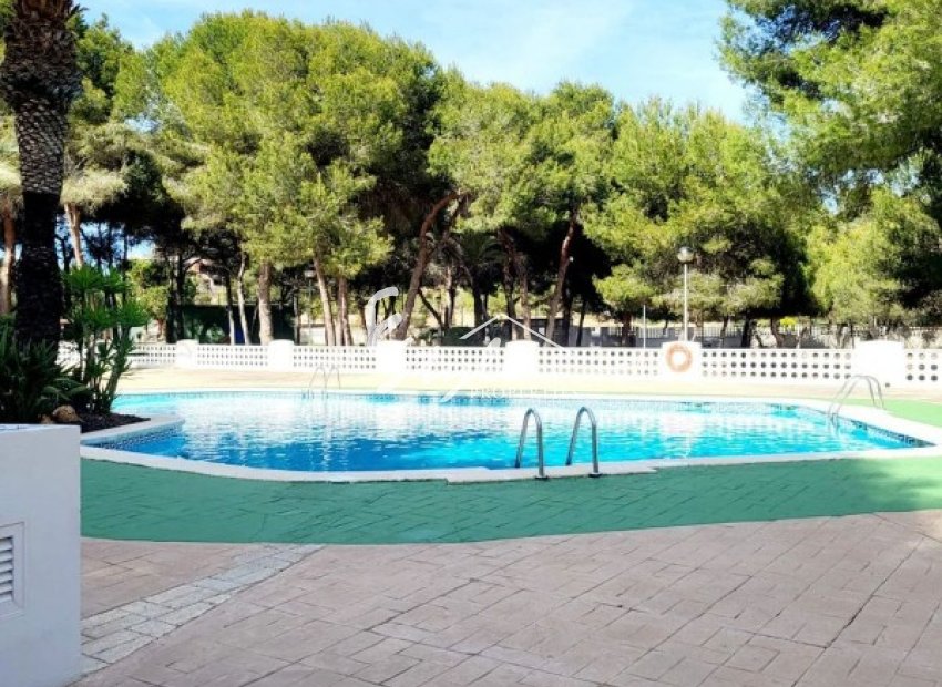 Reventa - Apartamento - Dehesa de Campoamor