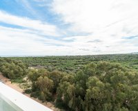 Reventa - Apartamento - Guardamar - Puerto Deportivo