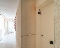 Reventa - Apartamento - Guardamar - Puerto Deportivo