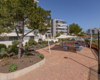 Reventa - Apartamento - Los Dolses - Pimienta