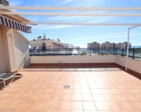 Reventa - Apartamento - Mil Palmeras