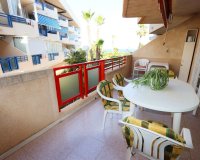 Reventa - Apartamento - Mil Palmeras