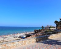 Reventa - Apartamento - Mil Palmeras