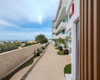 Reventa - Apartamento - Orihuela Costa  - Playa Flamenca