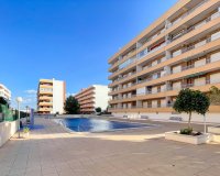 Reventa - Apartamento - Orihuela-Costa - Punta Prima