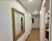 Reventa - Apartamento - Playa Flamenca