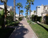Reventa - Apartamento - Playa Flamenca