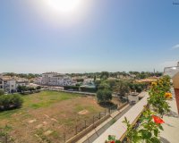 Reventa - Apartamento - Punta Prima - Beach