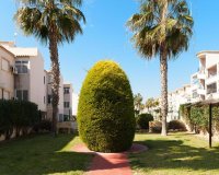 Reventa - Apartamento - Punta Prima - La Ciñuelica
