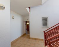 Reventa - Apartamento - Punta Prima - La Ciñuelica