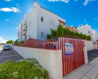 Reventa - Apartamento - Punta Prima - La Ciñuelica
