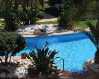 Reventa - Apartamento - Punta Prima - La Entrada