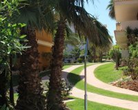 Reventa - Apartamento - Punta Prima - La Entrada