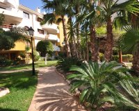 Reventa - Apartamento - Punta Prima - Panorama Park