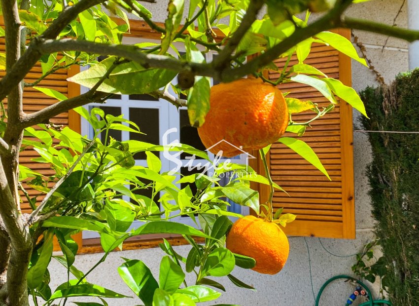 Reventa - Apartamento - Punta Prima