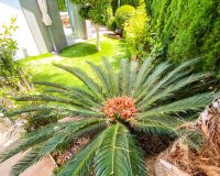 Reventa - Apartamento - Punta Prima