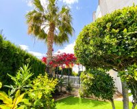 Reventa - Apartamento - Punta Prima