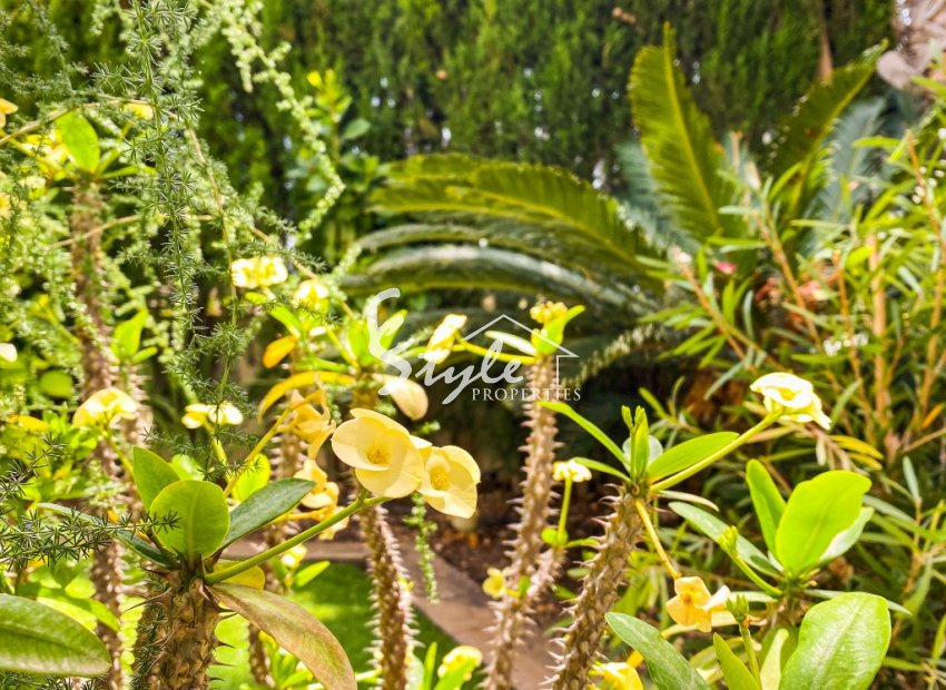 Reventa - Apartamento - Punta Prima