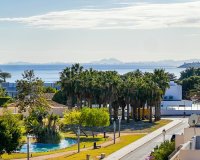 Reventa - Apartamento - Punta Prima