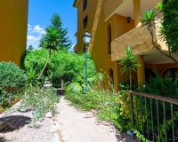 Reventa - Apartamento - Punta Prima