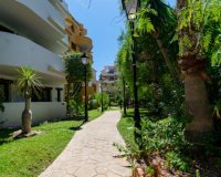 Reventa - Apartamento - Punta Prima