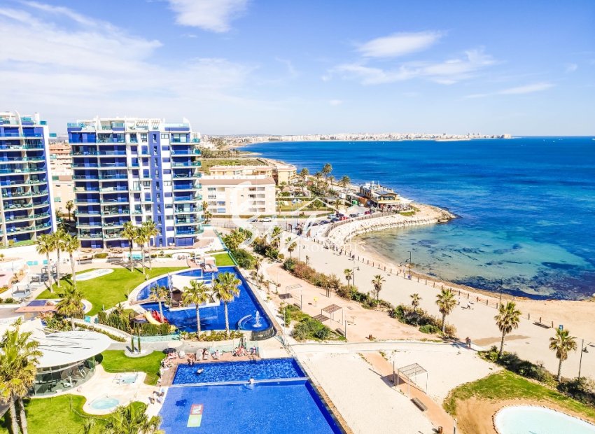 Reventa - Apartamento - Punta Prima