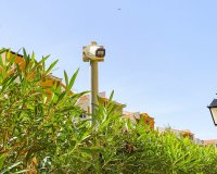 Reventa - Apartamento - Punta Prima