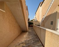 Reventa - Apartamento - Punta Prima