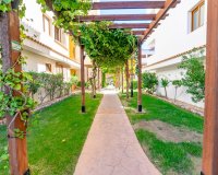 Reventa - Apartamento - Punta Prima