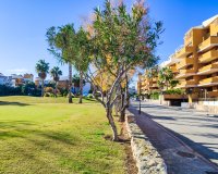 Reventa - Apartamento - Punta Prima