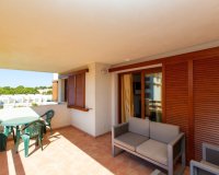 Reventa - Apartamento - Punta Prima