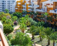Reventa - Apartamento - Punta Prima
