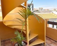 Reventa - Apartamento - Punta Prima