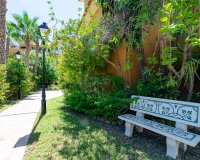 Reventa - Apartamento - Punta Prima