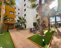 Reventa - Apartamento - Punta Prima