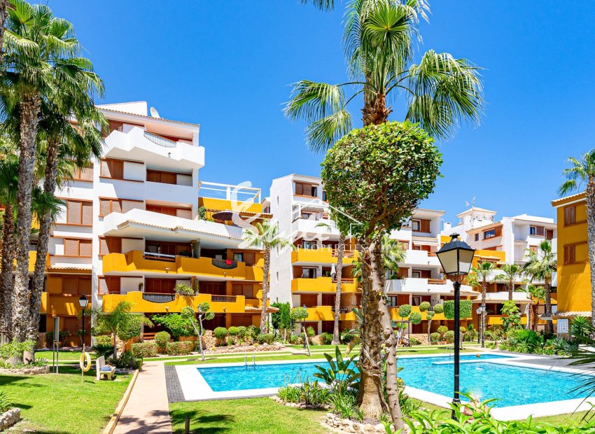 Reventa - Apartamento - Punta Prima