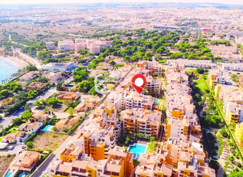 Reventa - Apartamento - Punta Prima