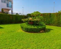 Reventa - Apartamento - Punta Prima