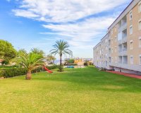Reventa - Apartamento - Punta Prima