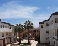 Reventa - Apartamento - Punta Prima