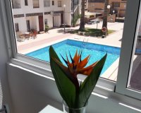 Reventa - Apartamento - Punta Prima