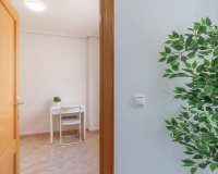 Reventa - Apartamento - Torrevieja - Center